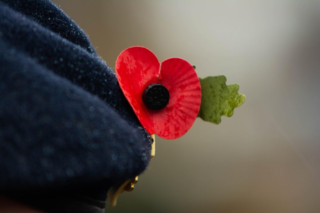 remembrance day, poppy, poppies, remembrance, war, memorial, red, nature, symbol, flower, beautiful flowers, military, november, flower background, freedom, flower wallpaper, british, soldier, army, armistice, anniversary, peace, day
