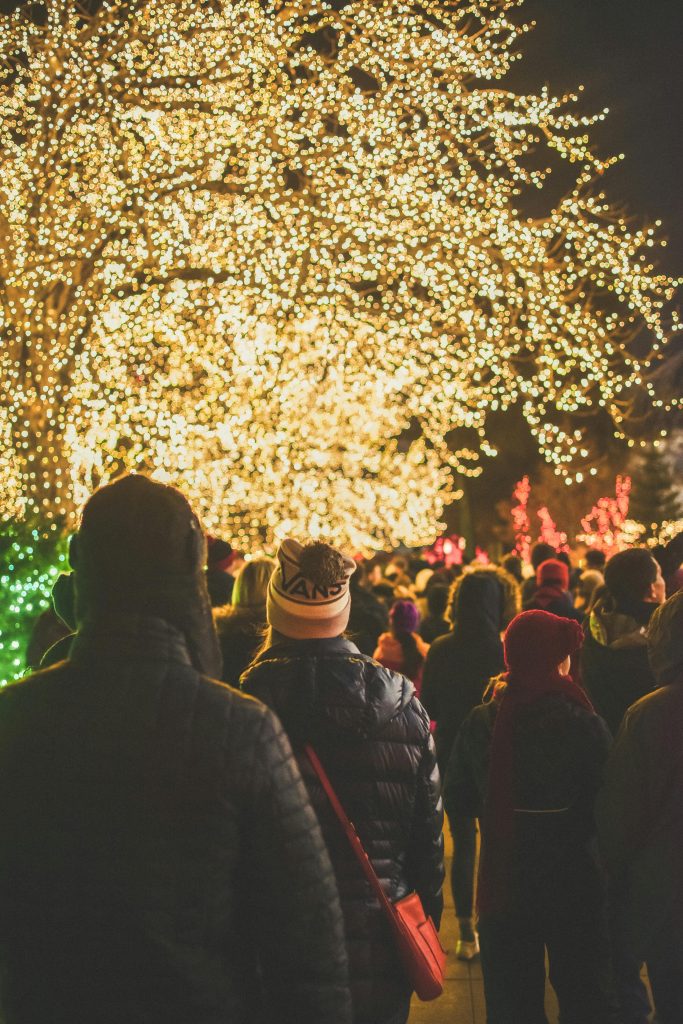 A crowd enjoys holiday lights on trees during a festive evening outdoor event.